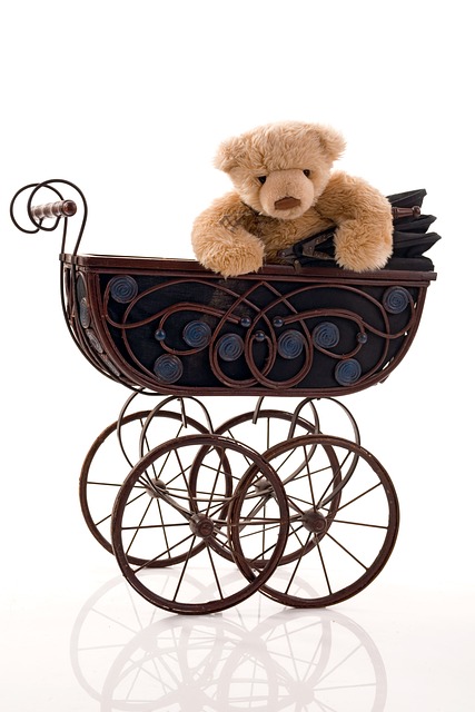 De perfecte kinderwagen kiezen: tips en adviezen voor aanstaande ouders De perfecte kinderwagen kiezen: tips en adviezen voor aanstaande ouders