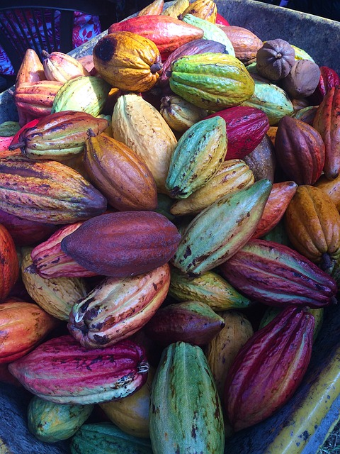 De verfijnde kunst van Belgische pralines ontdekken De verfijnde kunst van Belgische pralines ontdekken