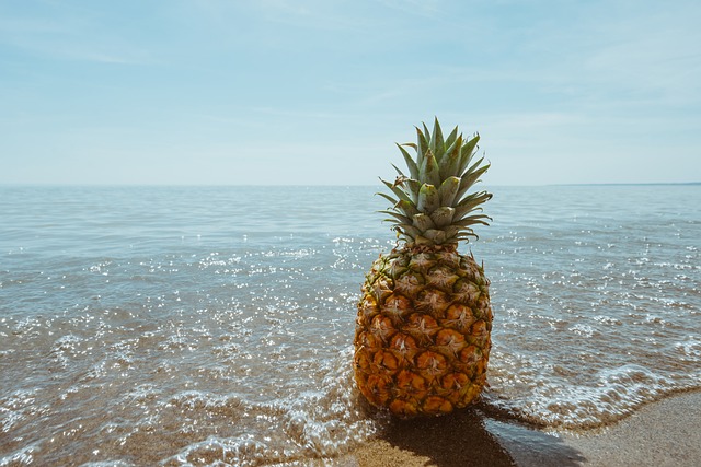 De wereld achter de ananasboom: een exotische ontdekkingsreis De wereld achter de ananasboom: een exotische ontdekkingsreis
