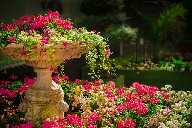 Zo plant je prachtige bloemen in je tuin Zo plant je prachtige bloemen in je tuin