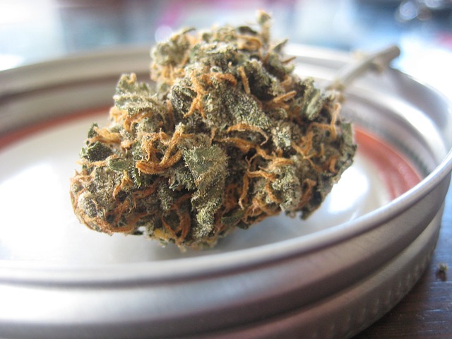 Alles wat je moet weten over het kopen van CBD Alles wat je moet weten over het kopen van CBD