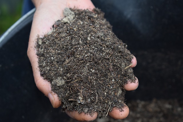 Waarom mulchen essentieel is voor een gezonde en weelderige tuin