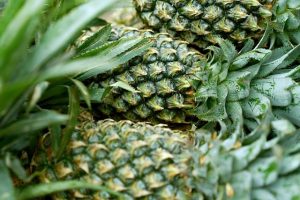 De verrassende wereld van de plante ananas: groei, verzorging en gebruik