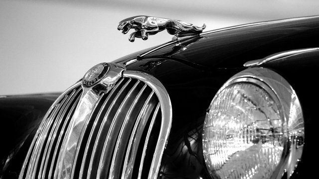 Jaguar XJ Coupé importeren uit België