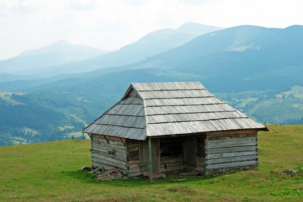Gesünderer und nachhaltigerer Umgang mit Mücken – The Tiny Canal Cottage
