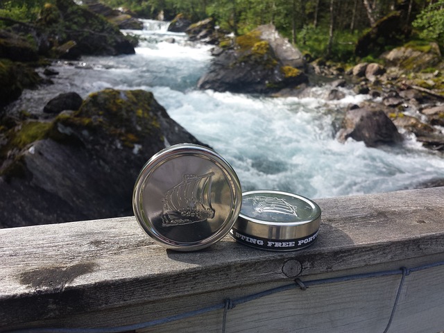 Alles, was Sie über Snus wissen müssen Alles, was Sie über Snus wissen müssen