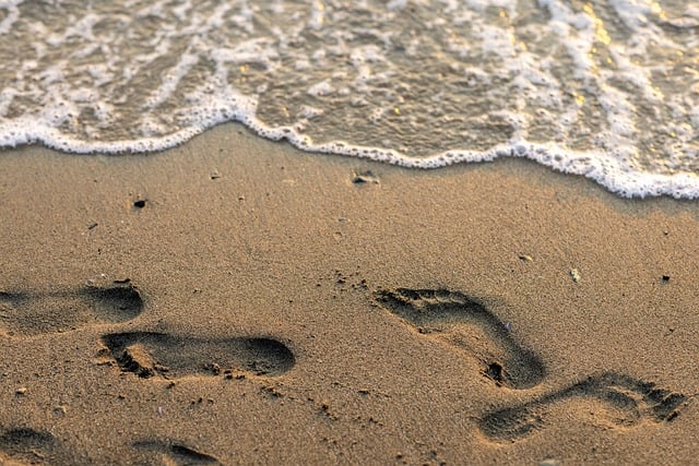 Alles wat je moet weten over drainagezand: voordelen, toepassingen en praktische tips Alles wat je moet weten over drainagezand: voordelen, toepassingen en praktische tips