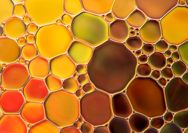 De veelzijdige voordelen van patchouli olie in je dagelijkse routine De veelzijdige voordelen van patchouli olie in je dagelijkse routine