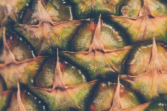 Het groene goud: ananasplanten kweken in je eigen tuin Het groene goud: ananasplanten kweken in je eigen tuin