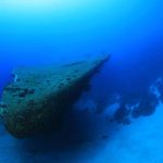 Maak kennis met de ultieme Bonaire-ervaring
