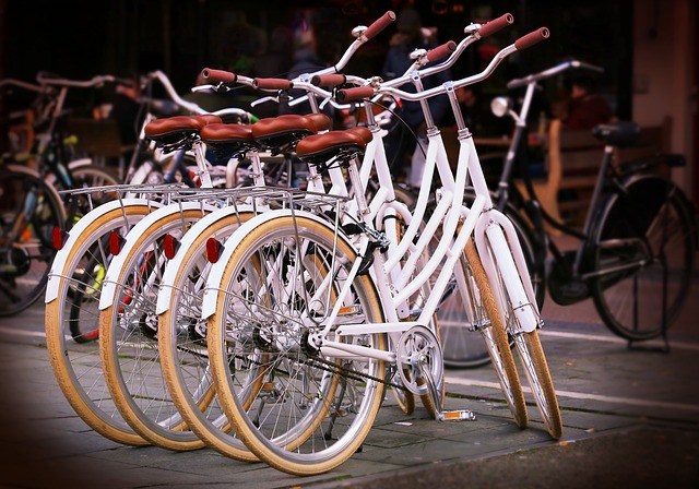 Het belang van efficiënt fietsparkeren in de Nederlandse steden Het belang van efficiënt fietsparkeren in de Nederlandse steden