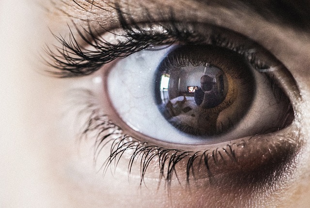 Een kijkje in de wereld van optometrisch onderzoek Een kijkje in de wereld van optometrisch onderzoek