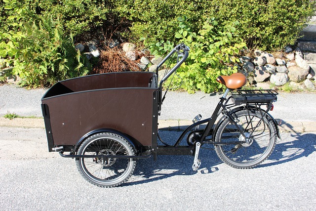 De beste manier om je bakfiets te laten vervoeren