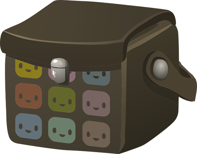 Alles wat je moet weten over een draagtas voor je kat Alles wat je moet weten over een draagtas voor je kat