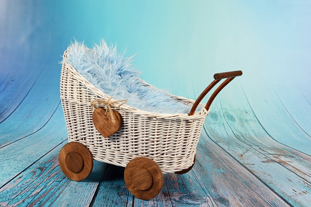 De wereld van kinderwagen merken: alles wat je moet weten De wereld van kinderwagen merken: alles wat je moet weten