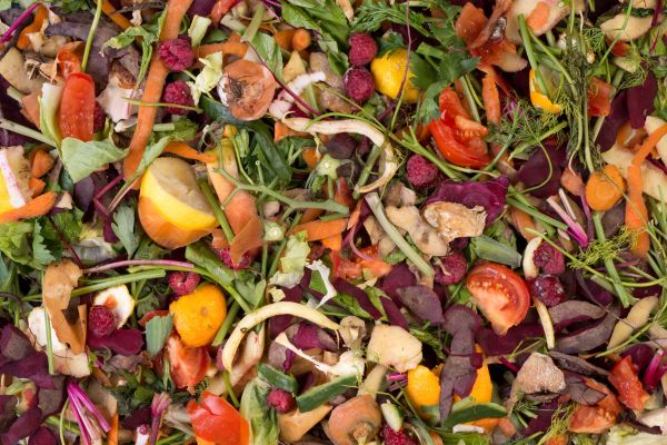 Compostage des cafards : Transformer les déchets en « excréments »