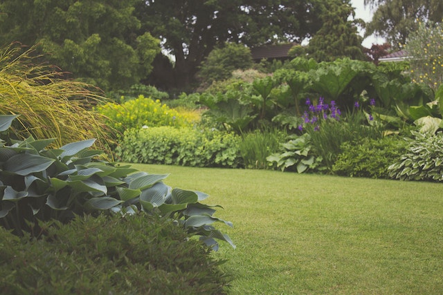 Exotische plantcombinaties: creëer een unieke tropische tuinstijl
