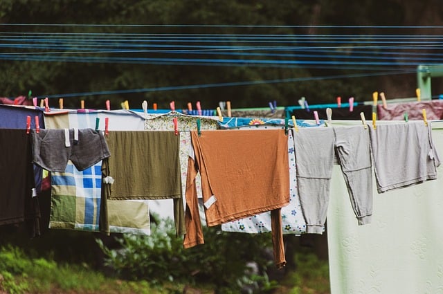 Een complete blik op de wereld van bedrukte kleding en accessoires Een complete blik op de wereld van bedrukte kleding en accessoires