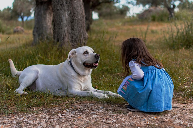 Hoe gras eten en probiotica de gezondheid van je hond beïnvloeden
