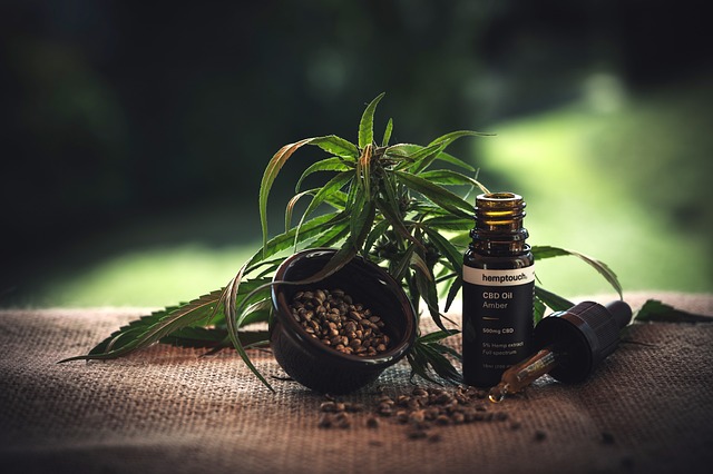 De veelzijdige wereld van CBD: feiten, mythes en toepassingen De veelzijdige wereld van CBD: feiten, mythes en toepassingen