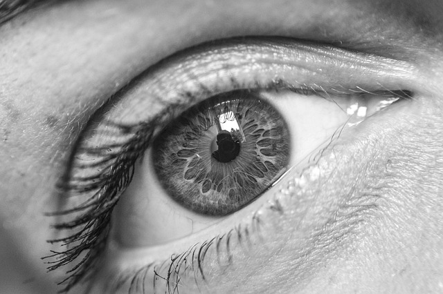 Zorg voor je ogen: essentiële inzichten in optometrie Zorg voor je ogen: essentiële inzichten in optometrie