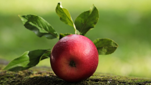 De kunst van een perfecte appeltaart: van geschiedenis tot serveertips De kunst van een perfecte appeltaart: van geschiedenis tot serveertips