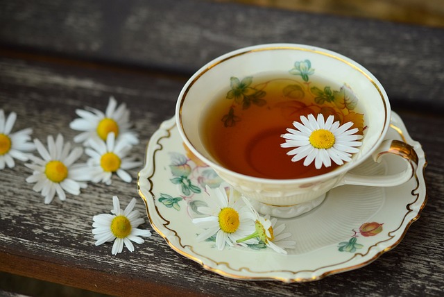 De beste groene thee: een ontdekkingsreis naar smaak en kwaliteit De beste groene thee: een ontdekkingsreis naar smaak en kwaliteit