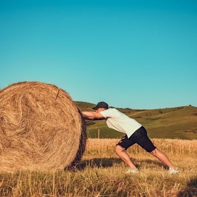 The Return of Axel Foley in Beverly Hills Cop 4 – Budomate