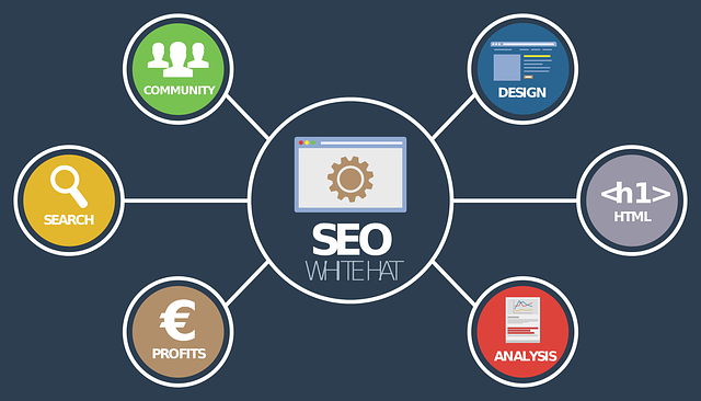 Webshop SEO specialist: de sleutel tot online succes Webshop SEO specialist: de sleutel tot online succes