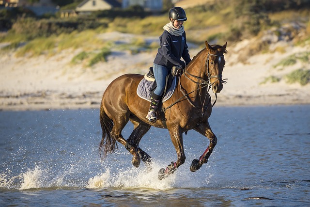 Ontdek de veelzijdigheid van horka outdoorlaarzen voor dames Ontdek de veelzijdigheid van horka outdoorlaarzen voor dames