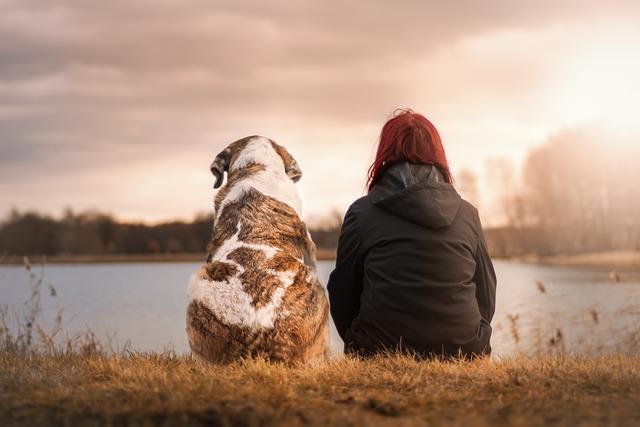 Probiotica voor honden: het geheim voor een gezonde darmflora Probiotica voor honden: het geheim voor een gezonde darmflora
