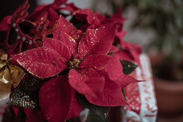 Is jouw kerstcadeau te onpersoonlijk? Is jouw kerstcadeau te onpersoonlijk?