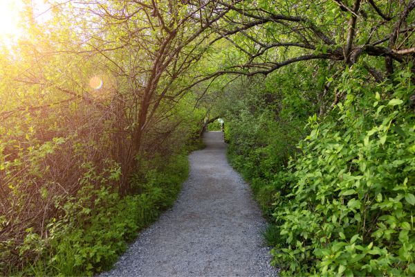 Camper-Code | Vancouver Trails