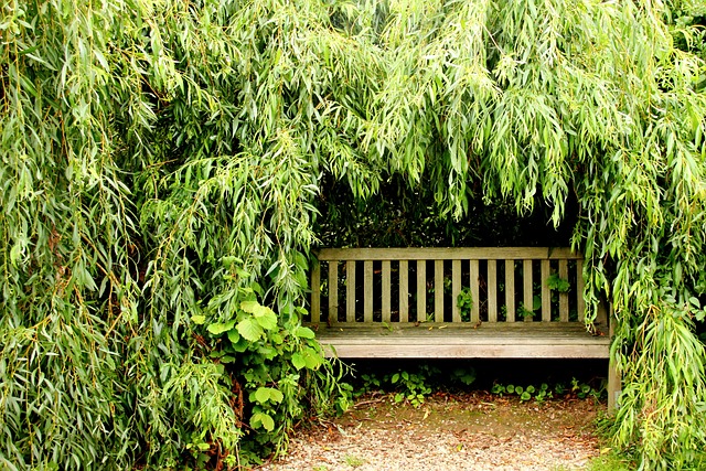 De charme van een houten tuinbank: esthetiek en comfort in je eigen achtertuin De charme van een houten tuinbank: esthetiek en comfort in je eigen achtertuin
