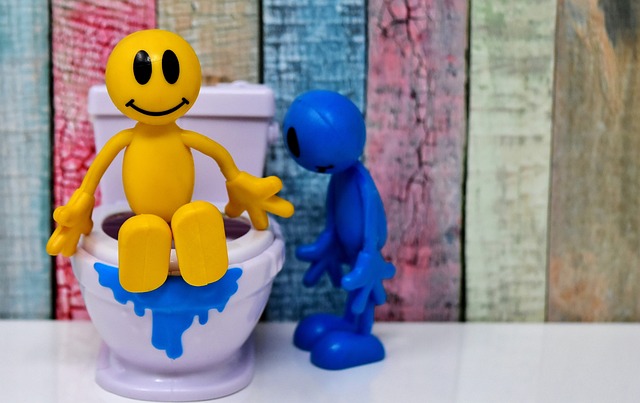 Help, wc verstopt in Amsterdam? Eerste hulp bij toiletproblemen Help, wc verstopt in Amsterdam? Eerste hulp bij toiletproblemen