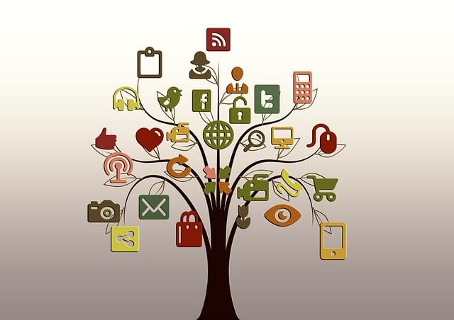 Een succesvolle social media strategie voor jouw merk ontwikkelen Een succesvolle social media strategie voor jouw merk ontwikkelen