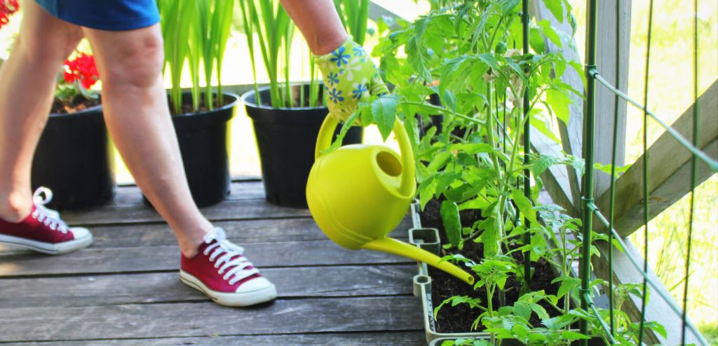 Bauen Sie Ihre eigenen Lebensmittel in einem Apartmentgarten an