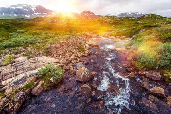 Spring Mountains – Coincé dans les douanes