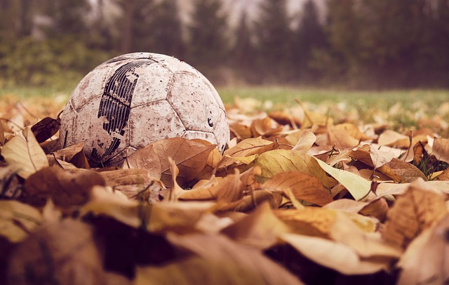 De Strijd om Dominantie in de Belgische Voetbalwereld De Strijd om Dominantie in de Belgische Voetbalwereld