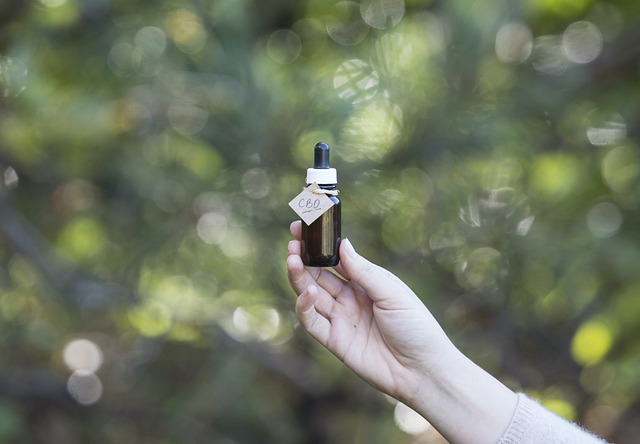 De helende kracht van cannabisolie: feiten en fabels ontrafeld De helende kracht van cannabisolie: feiten en fabels ontrafeld