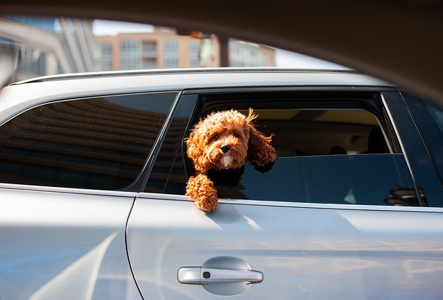 Voordelen en mogelijkheden van Volvo financial lease: Een diepgaande blik Voordelen en mogelijkheden van Volvo financial lease: Een diepgaande blik