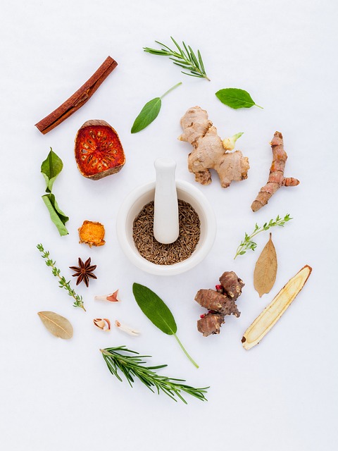 Lees meer over het artikel Is NMN het geheime ingredient voor eeuwige jeugd?