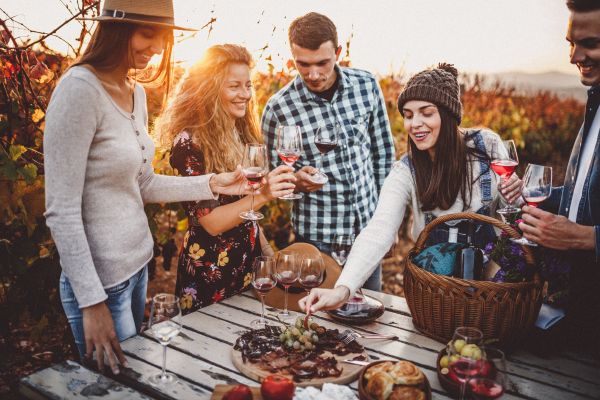 Trinken Sie etwas Käse zum Wein! – Joie De Vin