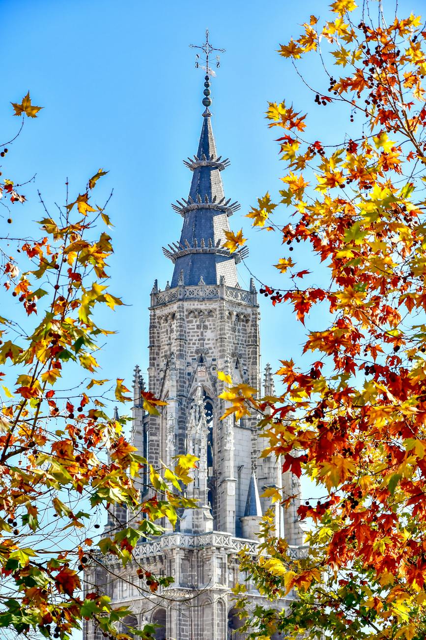 view of the ulmer munster church tower in germany