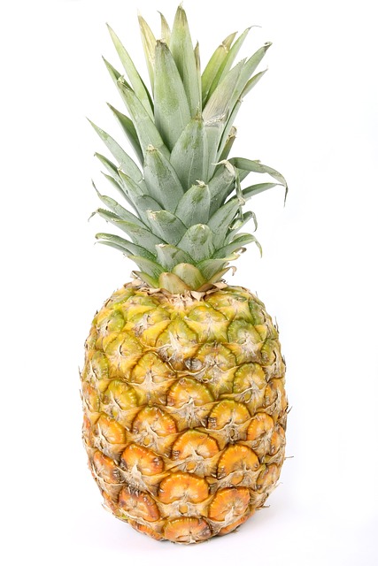 De zoete wereld van ananasplanten: van zaadje tot vrucht De zoete wereld van ananasplanten: van zaadje tot vrucht