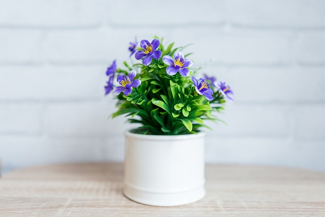 Binnen en buiten: waar plaats je die grote bloempot?