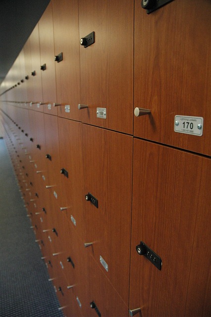 Efficiënte en innovatieve lockeroplossingen voor elke omgeving Efficiënte en innovatieve lockeroplossingen voor elke omgeving