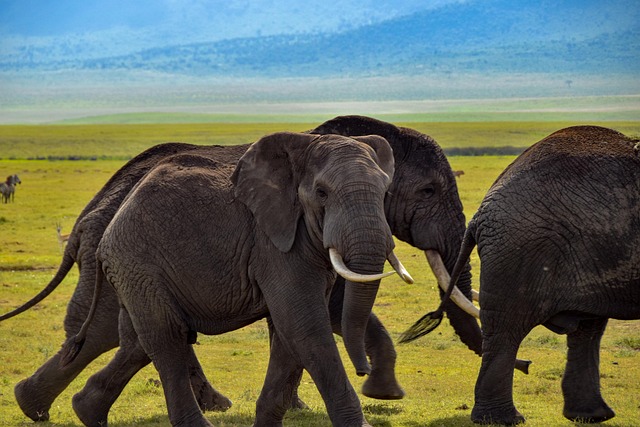 De perfecte huwelijksreis of jubileumtrip naar Zuid-Afrika De perfecte huwelijksreis of jubileumtrip naar Zuid-Afrika