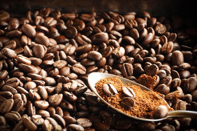 Wat maakt Haarlemse coffeeshops uniek? Wat maakt Haarlemse coffeeshops uniek?